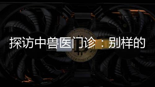 探訪中獸醫(yī)門診：別樣的診療手法進(jìn)行望、聞、問(wèn)、切