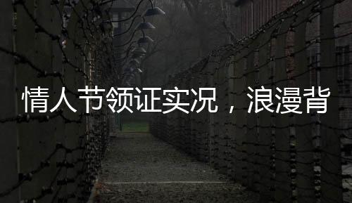 情人節(jié)領證實況，浪漫背后的忙碌與期待