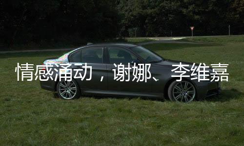 情感涌動(dòng)，謝娜、李維嘉、杜海濤在節(jié)目中的真摯時(shí)刻