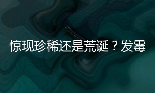 驚現(xiàn)珍稀還是荒誕？發(fā)霉橘子在二手平臺身價飆升至近六百元