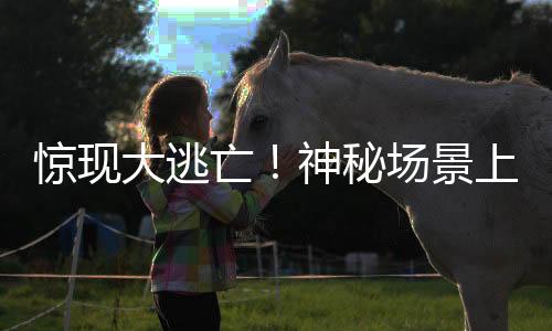 驚現(xiàn)大逃亡！神秘場(chǎng)景上演42頭豬的高速之旅