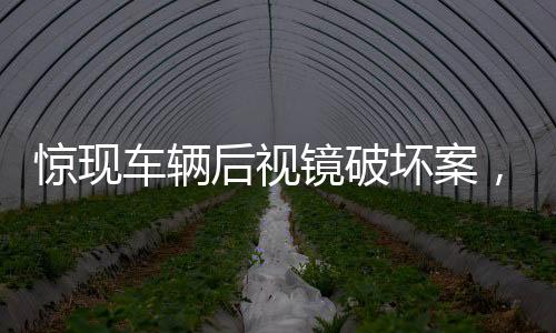 驚現(xiàn)車輛后視鏡破壞案，六十余輛私家車遭殃，警方緊急介入調(diào)查