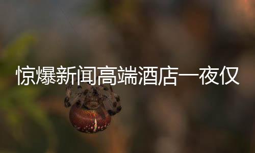 驚爆新聞高端酒店一夜僅需24.99元！難以置信的優(yōu)惠引發(fā)搶購熱潮