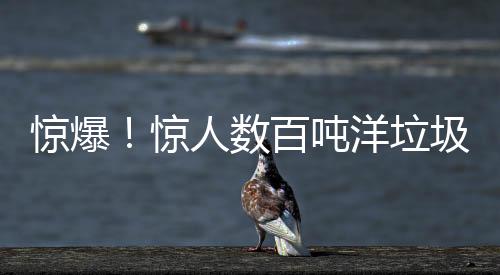 驚爆！驚人數(shù)百噸洋垃圾遭查扣，執(zhí)法行動(dòng)揭秘背后的垃圾走私鏈