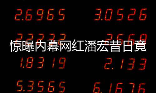 驚曝內(nèi)幕網(wǎng)紅潘宏昔日竟有刑事犯罪記錄，光環(huán)背后隱藏真相揭秘