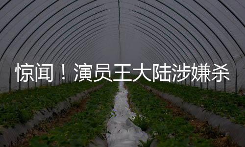 驚聞！演員王大陸涉嫌殺人未遂遭逮捕，引發(fā)社會關(guān)注