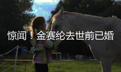 驚聞！金賽綸去世前已婚——深度解析其生平與離世影響