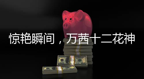 驚艷瞬間，萬茜十二花神造型引發(fā)矚目