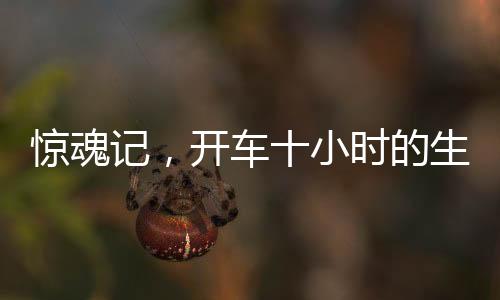 驚魂記，開車十小時的生死邊緣，奇跡避免截肢