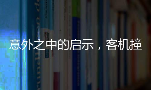 意外之中的啟示，客機(jī)撞狐貍中止起飛事件深度解析