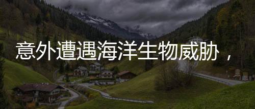 意外遭遇海洋生物威脅，男子被螃蟹夾手緊急求助消防隊