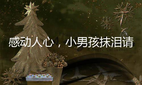感動人心，小男孩抹淚請求為用餐老人免單的故事