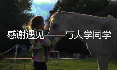 感謝遇見——與大學同學在餃子與華西宿舍的電力時光