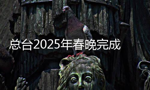 總臺(tái)2025年春晚完成全部五次彩排，精心籌備展現(xiàn)精彩盛宴
