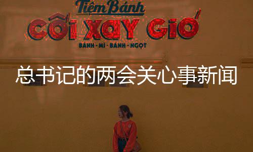 總書記的兩會關(guān)心事新聞稿