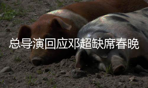 總導(dǎo)演回應(yīng)鄧超缺席春晚，原因揭秘與未來(lái)展望