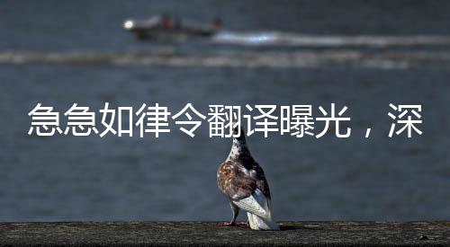 急急如律令翻譯曝光，深度探究翻譯行業(yè)的現(xiàn)狀與挑戰(zhàn)