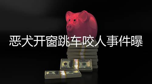 惡犬開窗跳車咬人事件曝光，呼吁強(qiáng)化寵物管理與安全教育