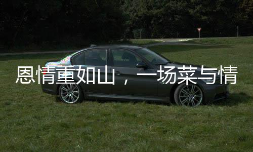 恩情重如山，一場菜與情感的奇妙邂逅