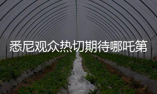悉尼觀眾熱切期待哪吒第三部，催更熱潮掀起