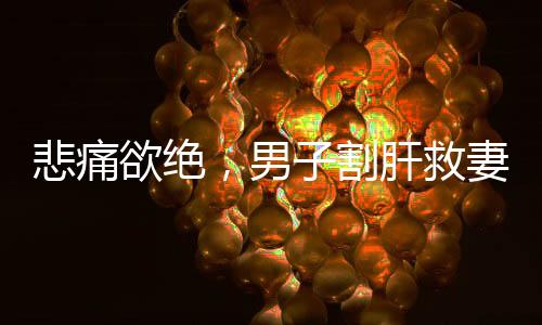 悲痛欲絕，男子割肝救妻，10個月后妻子離世感人肺腑