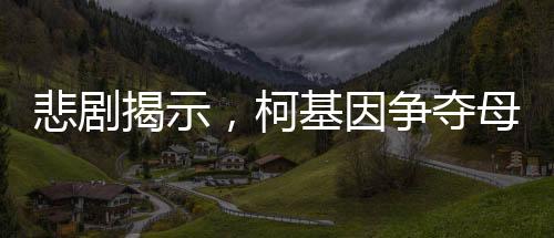 悲劇揭示，柯基因爭(zhēng)奪母狗而大打出手，意外失利導(dǎo)致不幸身亡