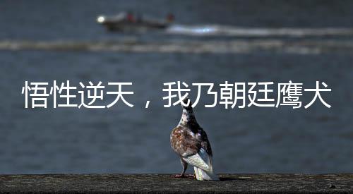 悟性逆天，我乃朝廷鷹犬