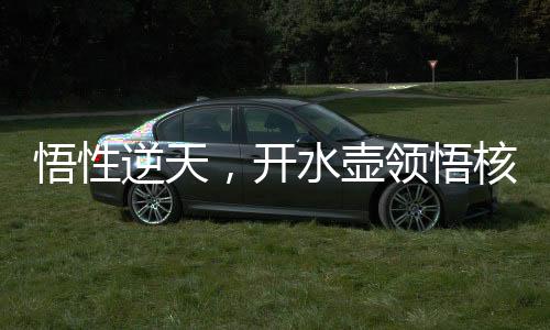 悟性逆天，開(kāi)水壺領(lǐng)悟核聚變！