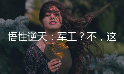 悟性逆天：軍工？不，這只是民用