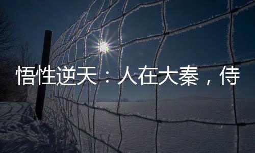 悟性逆天：人在大秦，侍女少司命