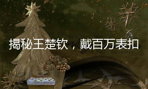 揭秘王楚欽，戴百萬表扣手背后的故事