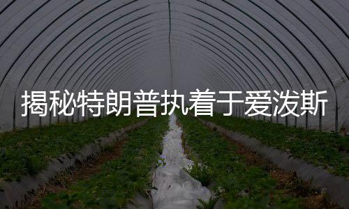 揭秘特朗普執(zhí)著于愛潑斯坦案的背后原因