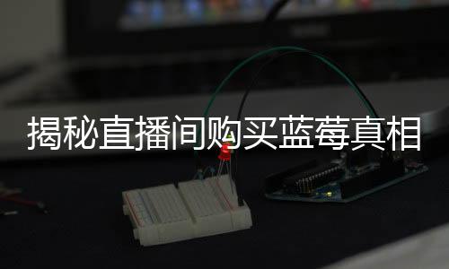 揭秘直播間購買藍(lán)莓真相，八盒藍(lán)莓到手，每盒果實數(shù)量究竟幾何？