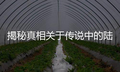 揭秘真相關(guān)于傳說中的陸游器，一場科技與文化的探索之旅