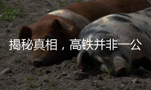 揭秘真相，高鐵并非一公里耗一萬(wàn)度電，破除誤導(dǎo)傳言！