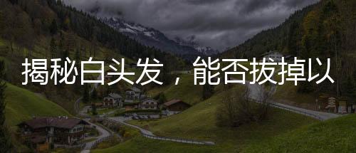 揭秘白頭發(fā)，能否拔掉以及拔白的考量因素