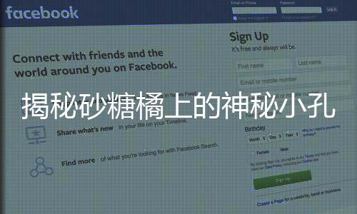 揭秘砂糖橘上的神秘小孔，背后的真相令人著迷