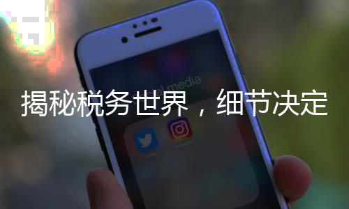 揭秘稅務(wù)世界，細(xì)節(jié)決定退稅與補(bǔ)稅的命運(yùn)