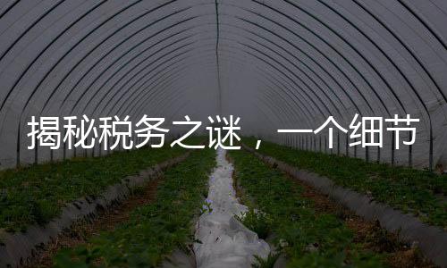 揭秘稅務(wù)之謎，一個細(xì)節(jié)決定退稅還是補(bǔ)稅