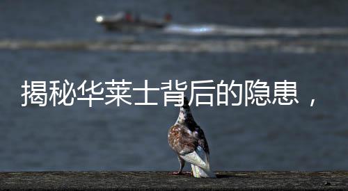 揭秘華萊士背后的隱患，記者臥底發(fā)現(xiàn)頻繁使用過期食材現(xiàn)象揭秘