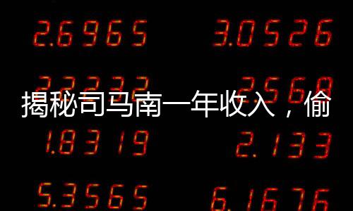 揭秘司馬南一年收入，偷稅背后的真相探究