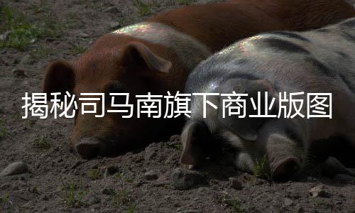 揭秘司馬南旗下商業(yè)版圖