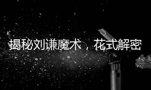 揭秘劉謙魔術(shù)，花式解密的奇幻之旅