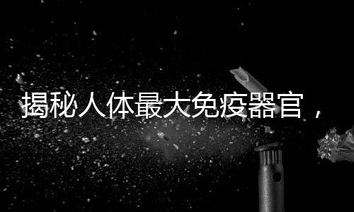 揭秘人體最大免疫器官，神奇的自我保護機制揭秘