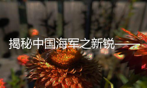 揭秘中國海軍之新銳——055大驅(qū)的實力解析