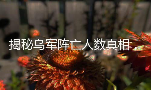 揭秘烏軍陣亡人數(shù)真相，數(shù)字背后的復(fù)雜戰(zhàn)爭