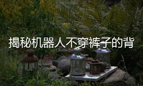 揭秘機(jī)器人不穿褲子的背后原因