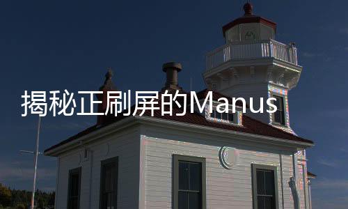揭秘正刷屏的Manus，熱點(diǎn)背后的神秘存在