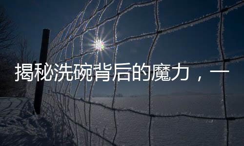 揭秘洗碗背后的魔力，一人洗碗，八萬人圍觀的現(xiàn)象深度解析