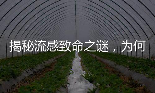 揭秘流感致命之謎，為何小小流感會奪走生命？